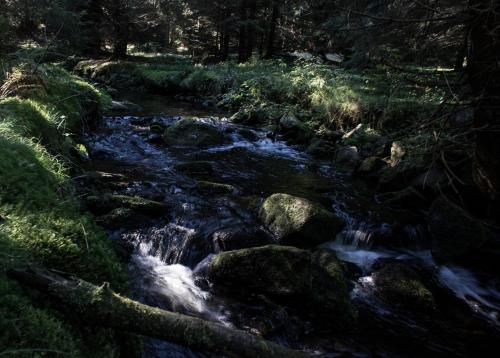 a stream of water with rocks and trees at Na Losenici in Nicov