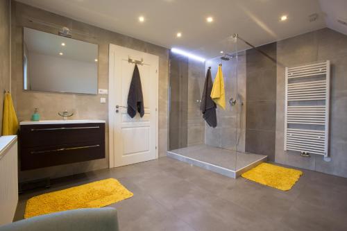 La salle de bains est pourvue d'une douche avec une porte en verre et un lavabo. dans l'établissement Wellness Chata Brejlovka, à Janov nad Nisou