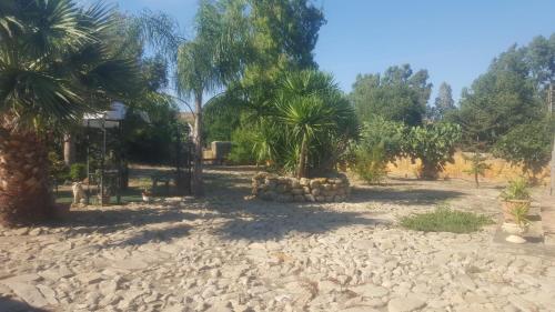 a yard with palm trees and a rocky ground at La collina delle ginestre in Enna