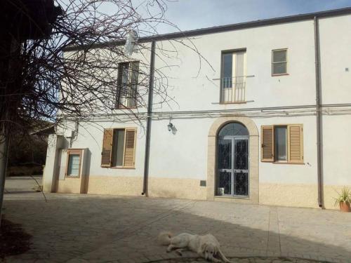 a dog laying on the ground in front of a building at La collina delle ginestre in Enna