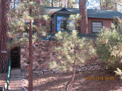 Apple Bear Cabin – Photos 3