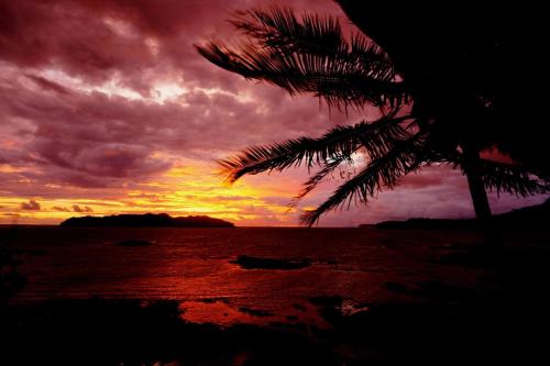 Gallery image of Vista Coiba Villas & Restaurant in Santa Catalina