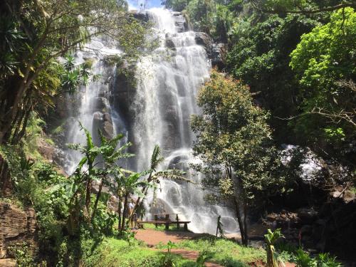 a waterfall in the middle of a forest at David Crater Homestay in Lushoto