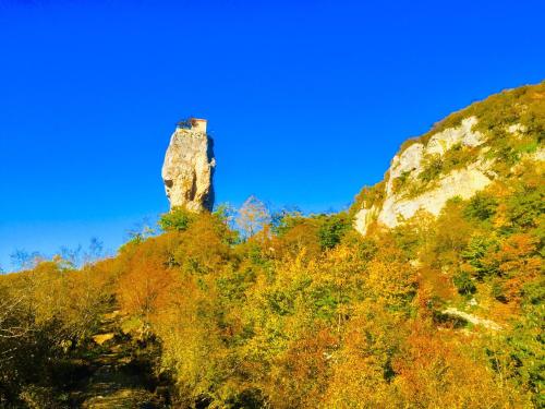 a rock on top of a hill with trees at Butichi Guest House in Chiatʼura
