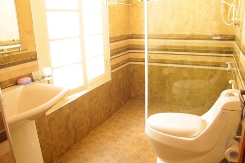 a bathroom with a shower and a toilet and a sink at Tranquility guest house in Hikkaduwa