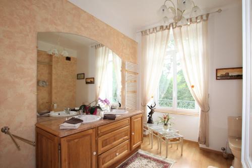 y baño con lavabo y espejo. en Château de broyes en Broyes