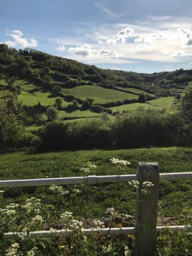 a fence in a field with green hills at Bay View Guest House in Beer