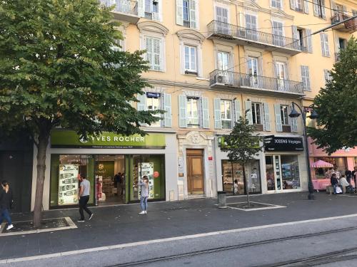 Chouette Massena
