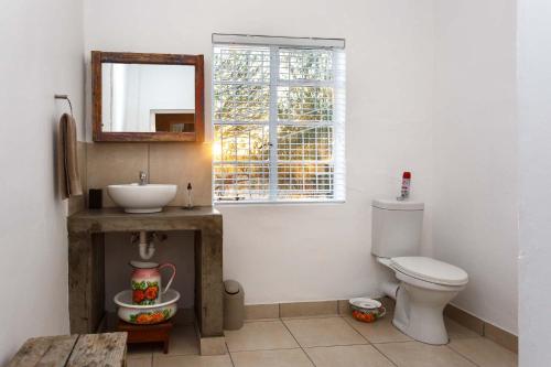 a bathroom with a sink and a toilet and a mirror at Hazenjacht Karoo Lifestyle - Oom Manus se Huis in Oudtshoorn