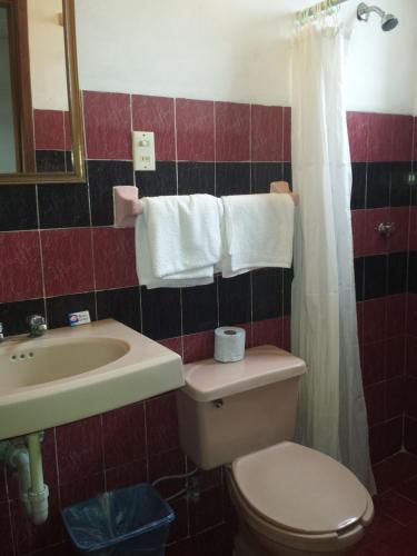 a bathroom with a toilet and a sink at Hotel Doralba Inn in Mérida