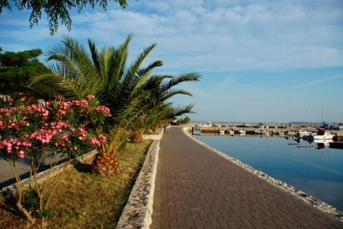 a sidewalk next to a body of water with palm trees at Apartments Mira in Bibinje