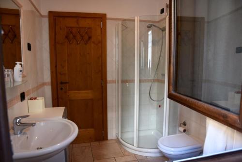 uma casa de banho com um chuveiro, um lavatório e um WC. em Baitin Finferlo em Valdidentro