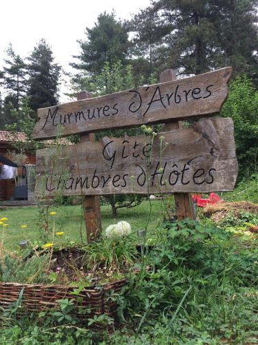 Murmures d'Arbres – Photos 2