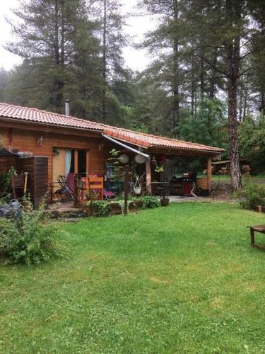Murmures d'Arbres – Photos 4