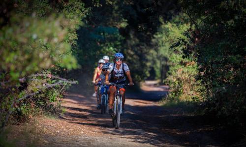 Катание на велосипеде по территории Campeggio Boscoverde или окрестностям