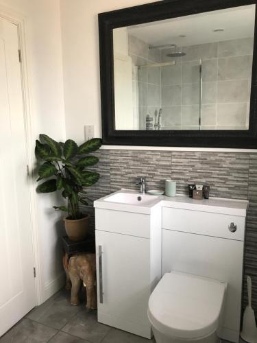 a bathroom with a toilet and a sink and a mirror at Seaglass Cottage, 5 mins from beach, leafy lane, hot tub in South Hayling