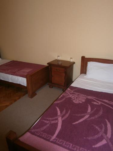 a bedroom with two beds and a nightstand with a purple rug at Vila Patria in Podgorica