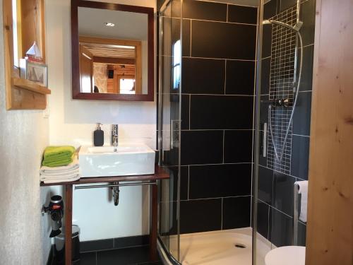 a bathroom with a sink and a glass shower at Beerenhütte in Kurort Oberwiesenthal