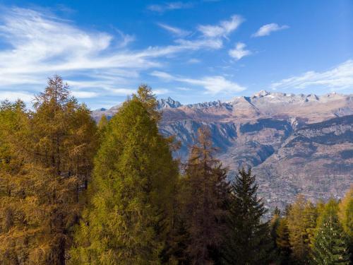 a group of trees with mountains in the background at Chalet Bärgsunna in Rosswald