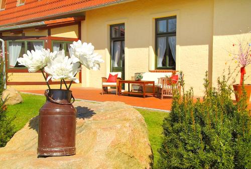a vase with flowers in it sitting on a rock at Matys Landhausperle an der Müritz in Röbel