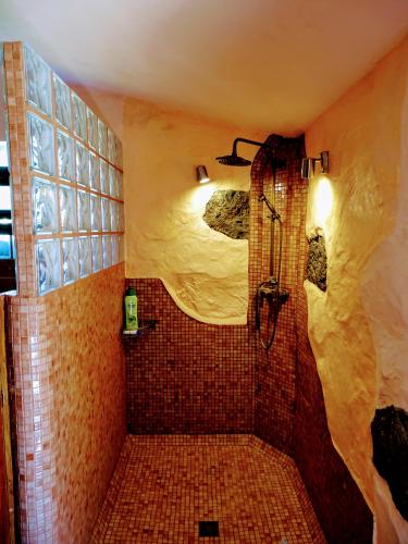 a bathroom with a shower with a tiled at *****Finca Bella Vista in Arucas