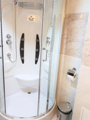 a shower with a glass door in a bathroom at Villa Lotus in Deva