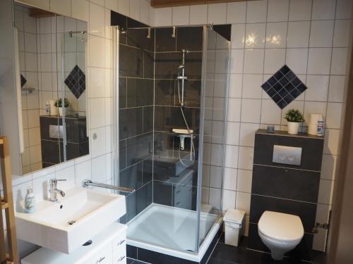 a bathroom with a shower and a sink and a toilet at Ferienhaus Mundan 2 in Burhave