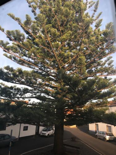 Fotografie z fotogalerie ubytování Hotel Santa Cruz v Santa Cruz da Graciosa