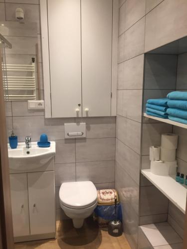 Ένα μπάνιο στο Apartament Romantic