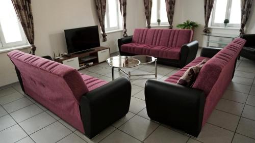 sala de estar con 2 sofás y TV en Alegria Natur Apartments, en Mikulov