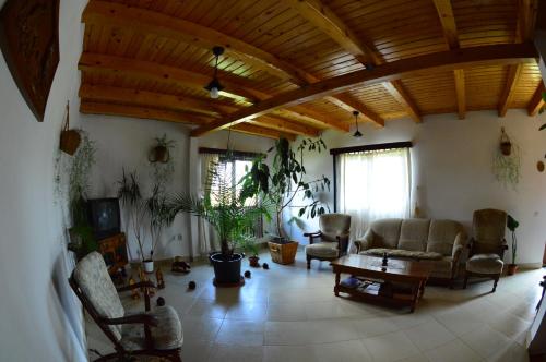 a living room with a couch and a table at Casa Altius Felix in Baile Felix
