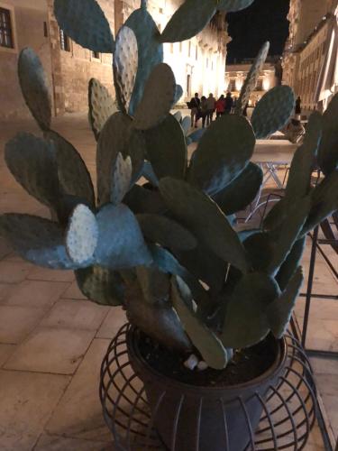 Foto dalla galleria di Suite ortigia vista mare a Siracusa