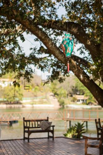 a bird feeder hanging from a tree in a park at Pousada da Pedra Rifaina in Rifaina