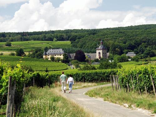 a man and woman walking down a path through a vineyard at Pension-Allendorf in Oestrich-Winkel
