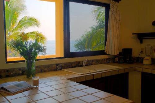 a kitchen with a sink and two windows and a palm tree at Las Turquezas in Puerto Escondido