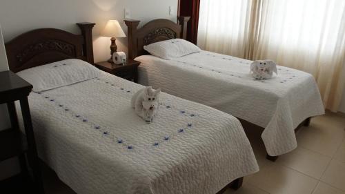 two dogs sitting on two beds in a hotel room at Hotel Sipa in Duitama