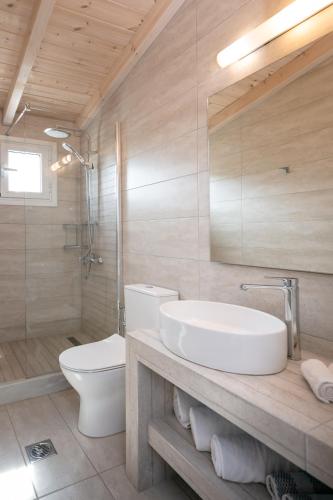 a bathroom with a sink and a toilet and a shower at Electra Apartments in Sidari