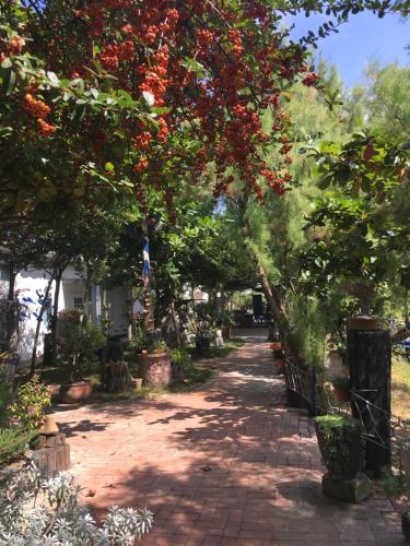 a walkway with trees and red flowers on it at Lan People Villa in Qigu