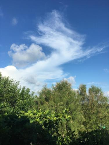 a blue sky with clouds above some trees at Lan People Villa in Qigu