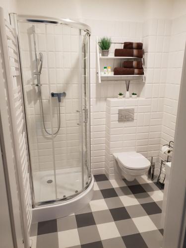 Kúpeľňa v ubytovaní Apartament Nad Starą Odrą
