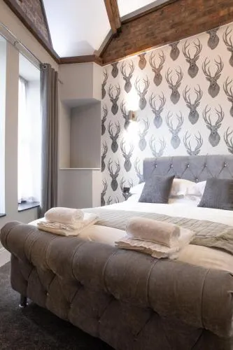 The Glebe Hotel photo 3