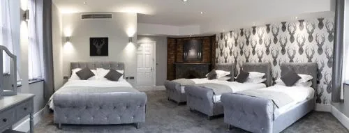 The Glebe Hotel photo 12