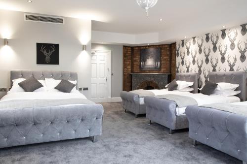 The Glebe Hotel photo 29