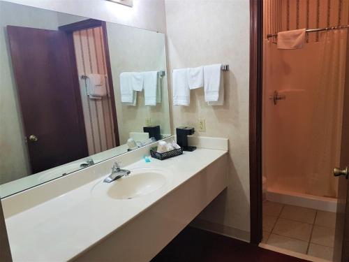 a bathroom with a sink and a mirror at Swiss Village Inn in Eureka Springs