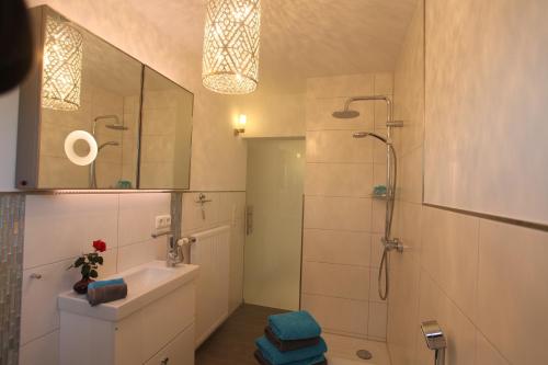 uma casa de banho com um chuveiro, um lavatório e um WC. em B&B’s im Aischgrund em Adelsdorf
