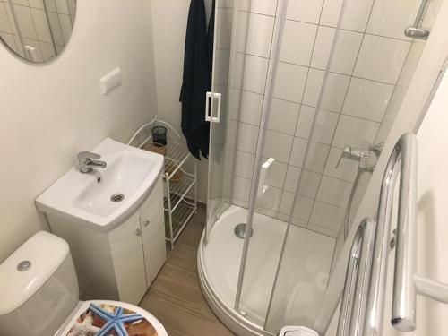 a bathroom with a shower and a toilet and a sink at Malūnų vilos in Palanga