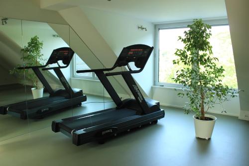 Fitnes oz. oprema za telovadbo v nastanitvi Hotel Restaurant Höldrichsmühle