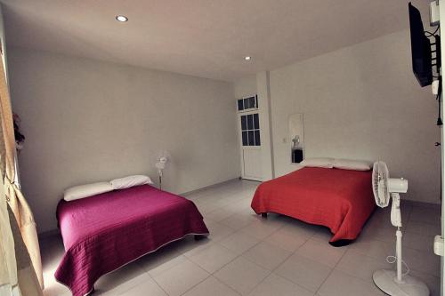 Gallery image of Bungalows de KQ in Xilitla