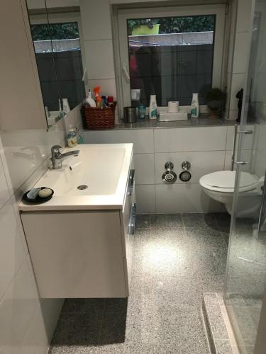 Ванная комната в Idyllische und ruhig gelegene 1ZKB Wohnung in Ludwigshafen am Rhein