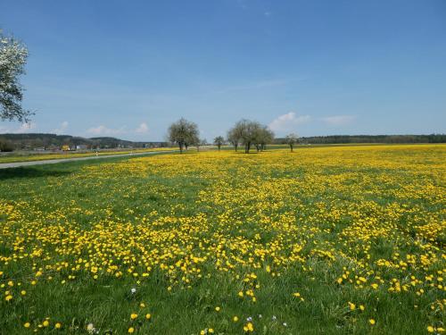 Gallery image of Ferienhaus an der Iller in Aitrach